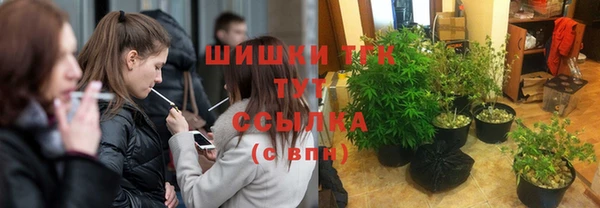 молекула духа Няндома