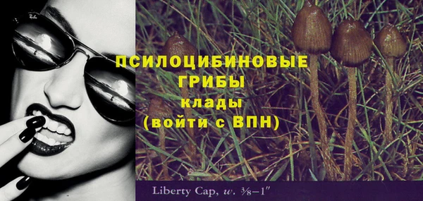 молекула духа Няндома