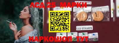 твердый Бийск