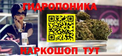 твердый Бийск