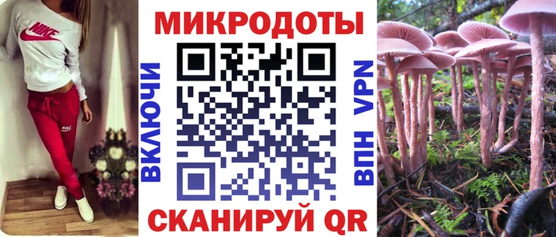 купить закладку  Братск  Псилоцибиновые грибы прущие грибы 