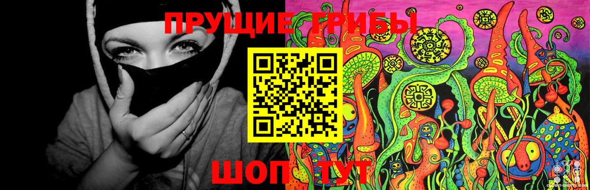 Псилоцибиновые грибы Братск