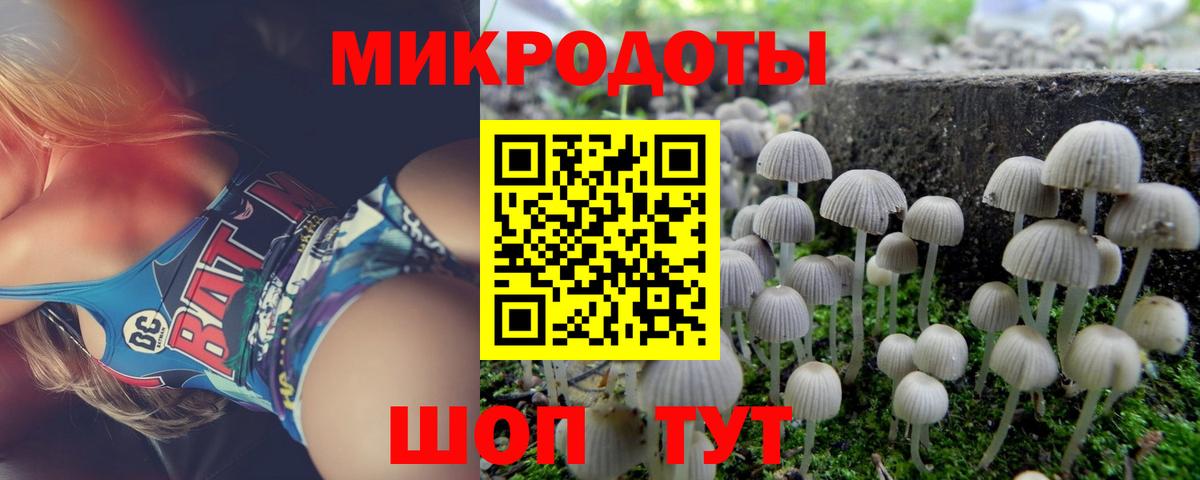 Галлюциногенные грибы ЛСД  купить   Псилоцибиновые грибы MAGIC MUSHROOMS  Братск 